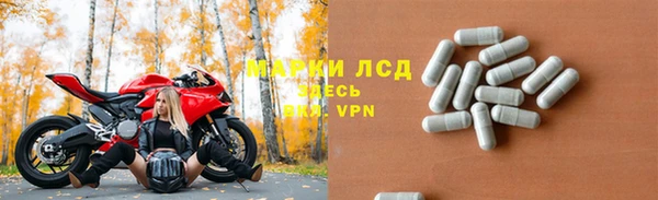 apvp Кукмор