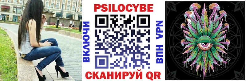 цены   Новоалтайск  Псилоцибиновые грибы GOLDEN TEACHER 